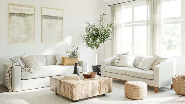Bright living room with plush couches and potted plants.